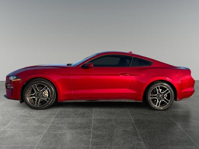 2021 Ford Mustang EcoBoost
