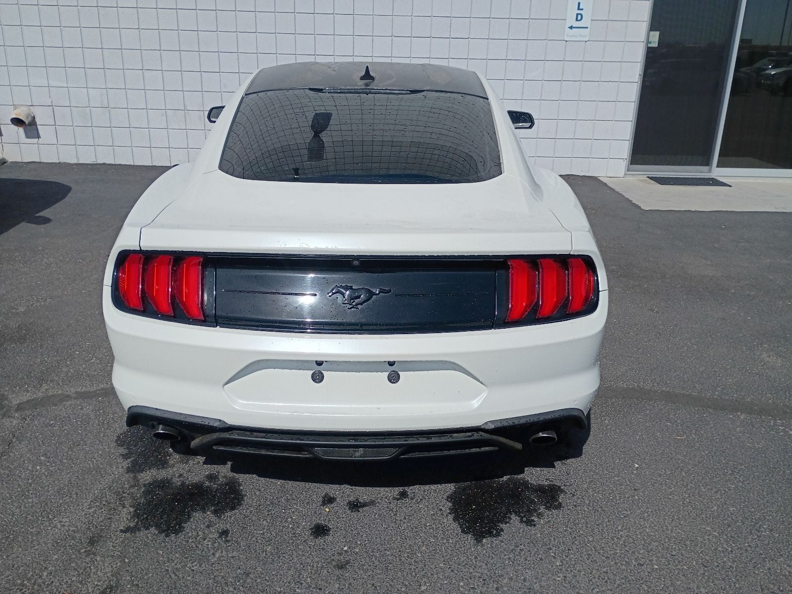 2022 Ford Mustang EcoBoost